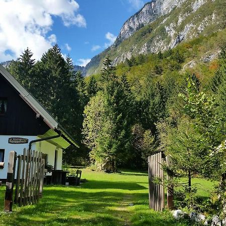 Pocitniska Hisa Ukanc Bohinj Esterno foto